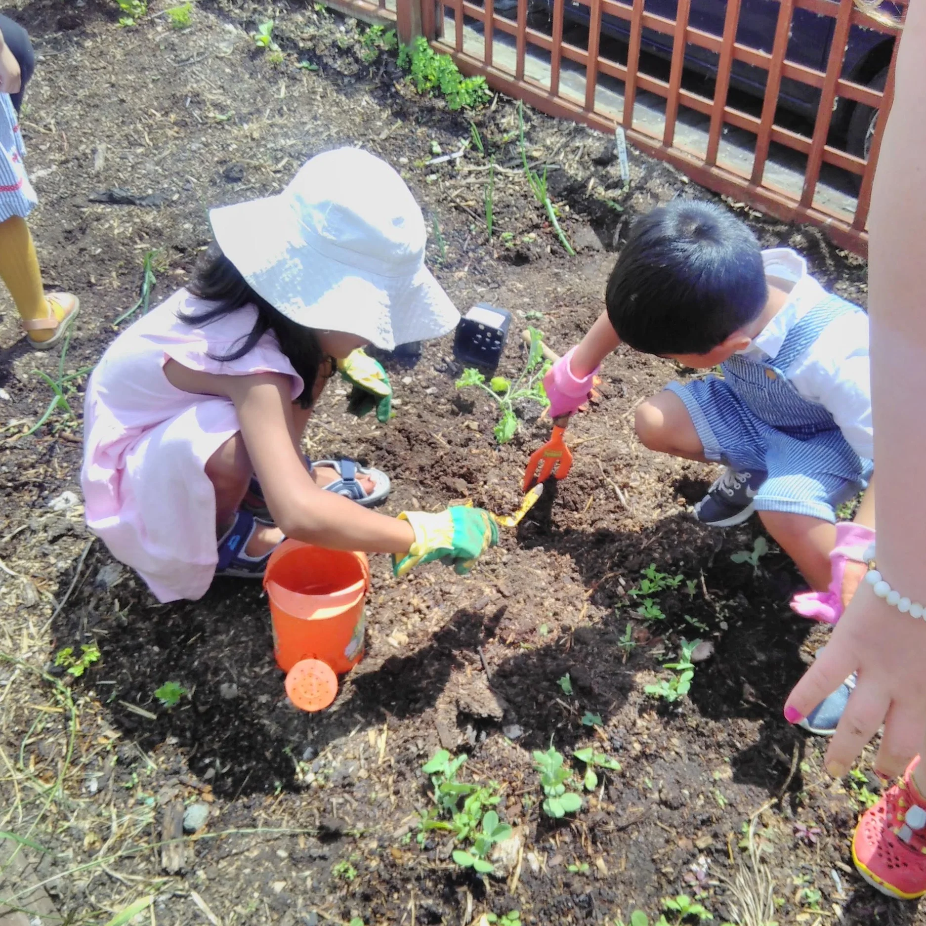 Families Go Wild in the Garden!