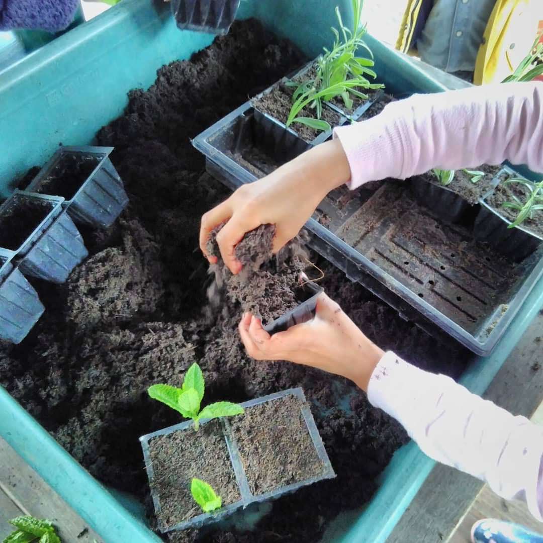 Families Go Wild in the Garden!