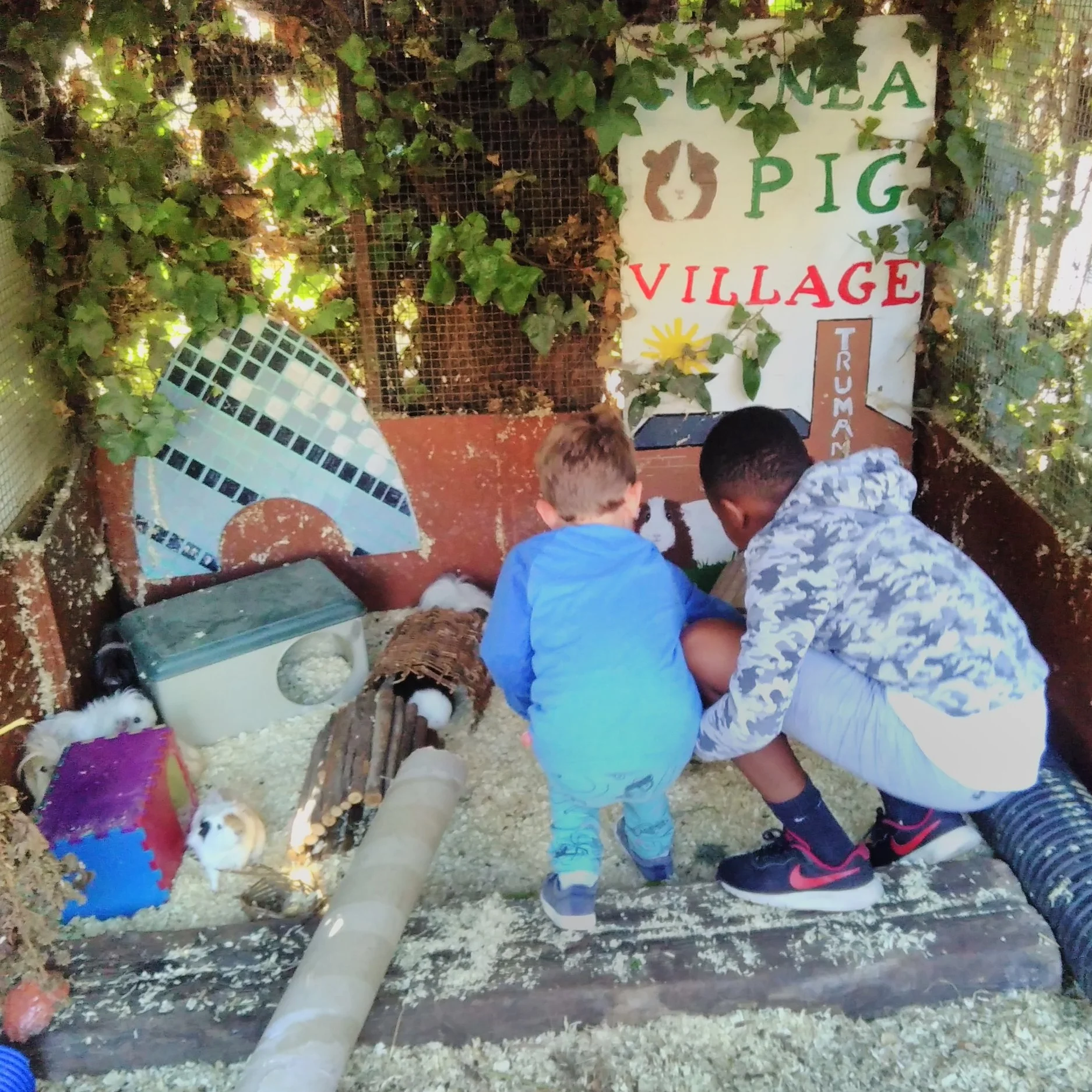 Families Go Wild in the Farmyard!