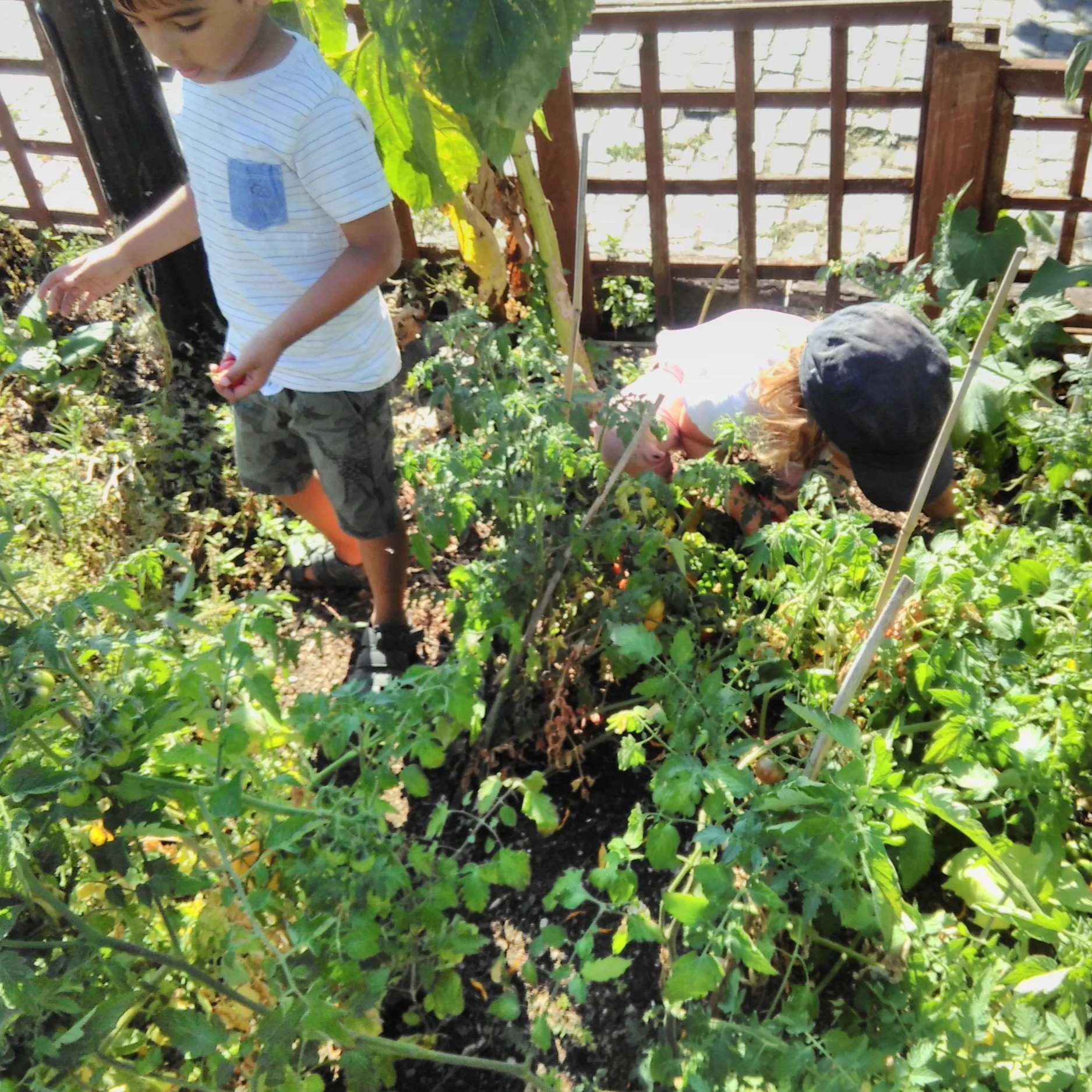 Families Go Wild in the Garden!