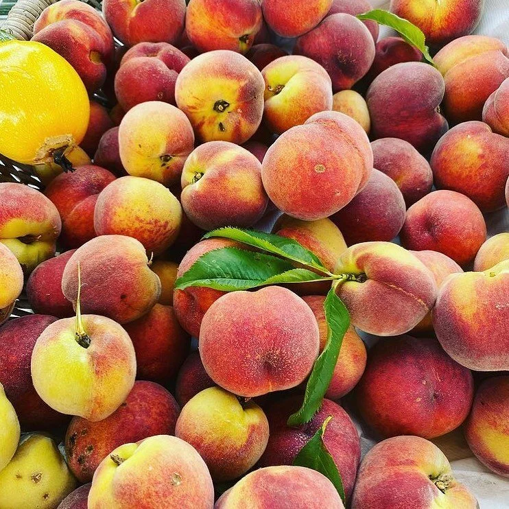 Our very own farm peaches plucked from the tree this morning by our wonderful team of gardeners
@discofabulous @tessac1234 

#farmersmarket #permaculture #organic 
#fieldtofork #urbanfarming #tasteofsummer #peaches #ecotherapy #fruitjam