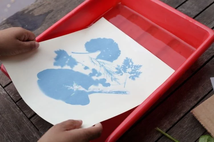 making_prints.jpeg