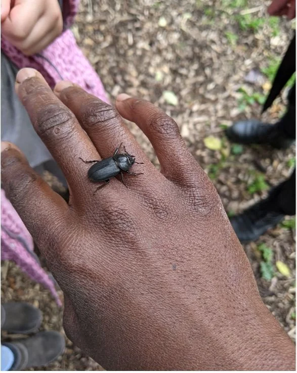 Tower Hamlets Summer Fun - Minibeast hunt (Ages 5+)