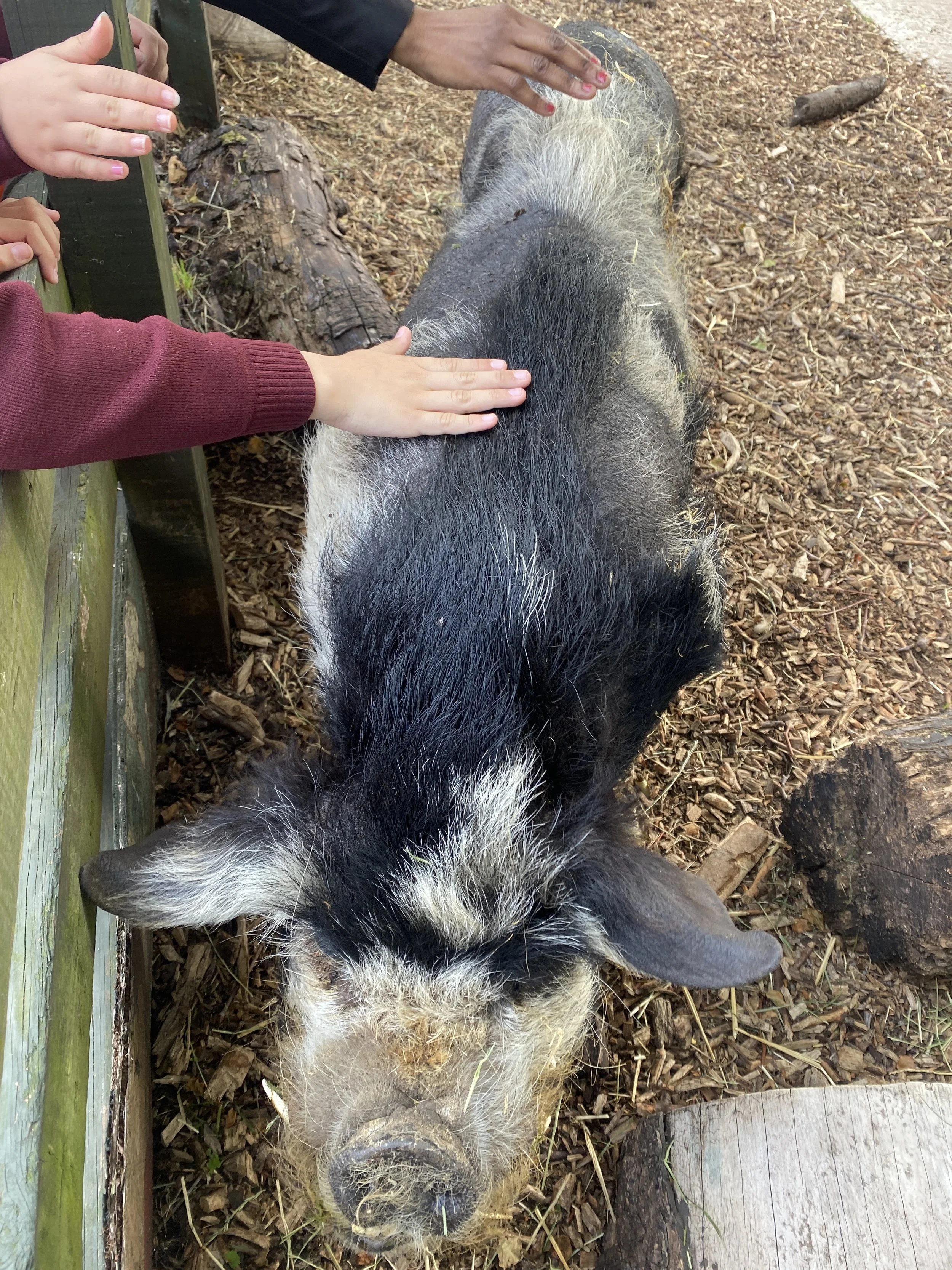HALF TERM: Farm Guided Tour