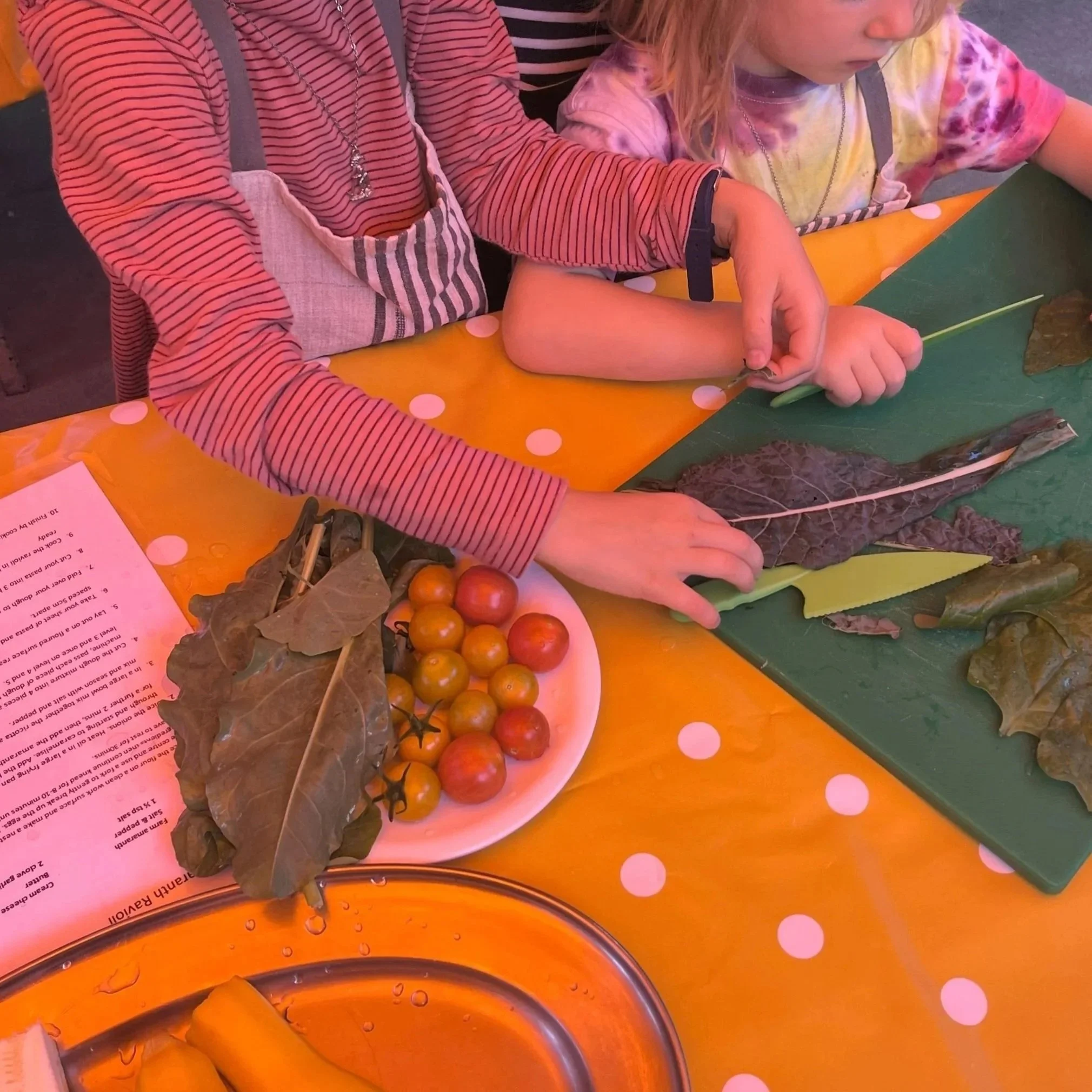 SUMMER HOLIDAYS : Farm to Fork - Thursday 6th August