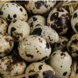 Easter 2026 Newsletter