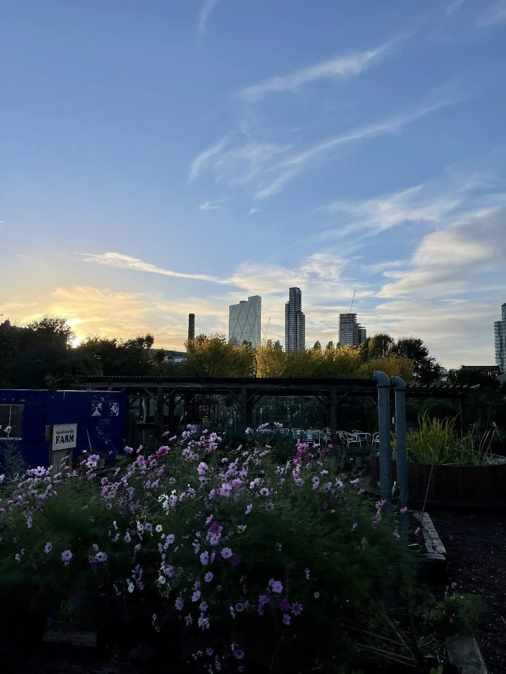 Early evening view