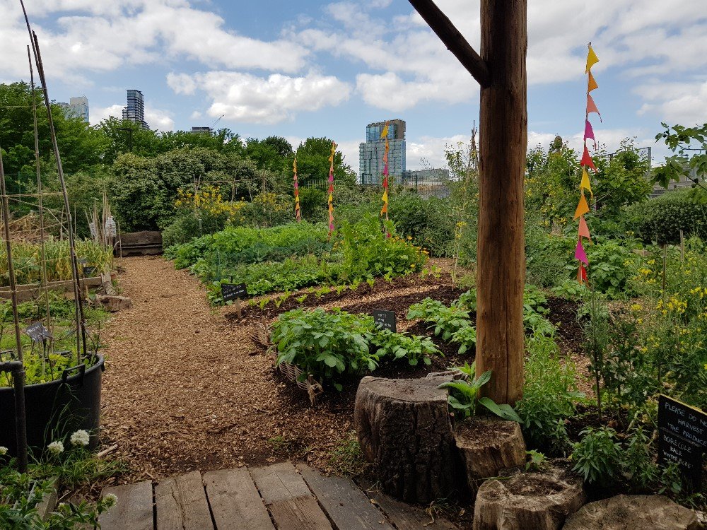 View across the community garden