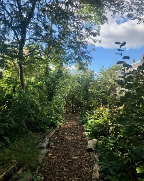 A log-lined woodland path with trees and bushes either side.