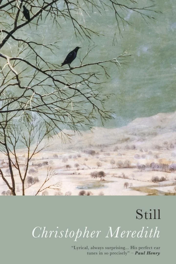 'Still' - A Conversation with Poet and Author Christopher Meredith
