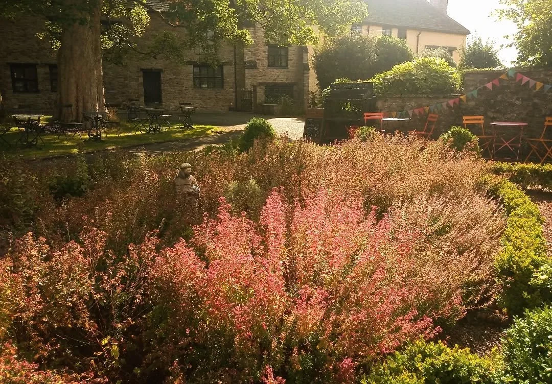 Season of mists...
Blousy herbs, dappled sun, slowly turning leaves...

Perfect book &amp; coffee days

Come by 🧡