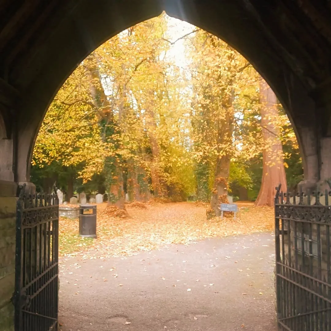 Cathedral Close is aglow with Autumn colours and alive with music 🍂🍃🍁

So delighted to have wonderful @rachelpodgerofficial and her amazing @breconbaroquefestivalbbf  Orchestra arriving to rehearse ahead of this weekend's Festival which has such a