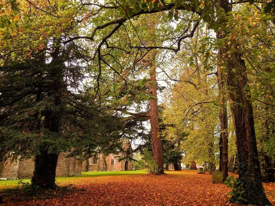 Nothing says Autumn in Wales more than the crunch of brittle leaves underfoot, the sweet smell of burnished woodland, cosy hand-picked reads and delicious homemade soup.

Join us for all manner of soul food at beautiful Brecon Cathedral Close..