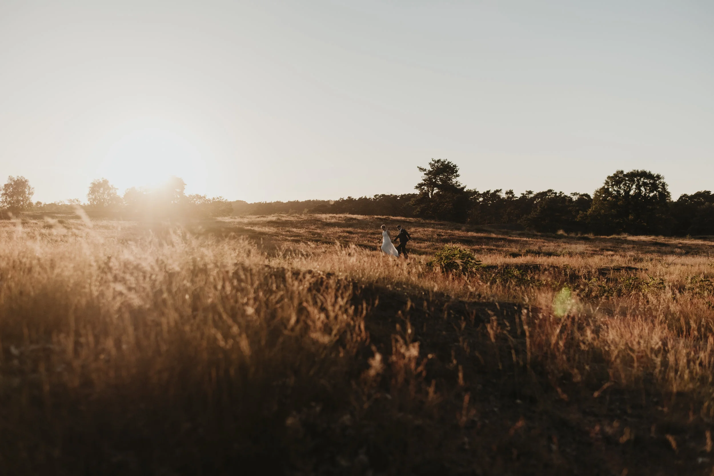 Kleiner Spaziergang durch die Heide im strahlenden Sonnenschein.