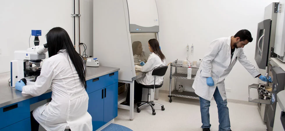 Laboratorio 2.jpg
