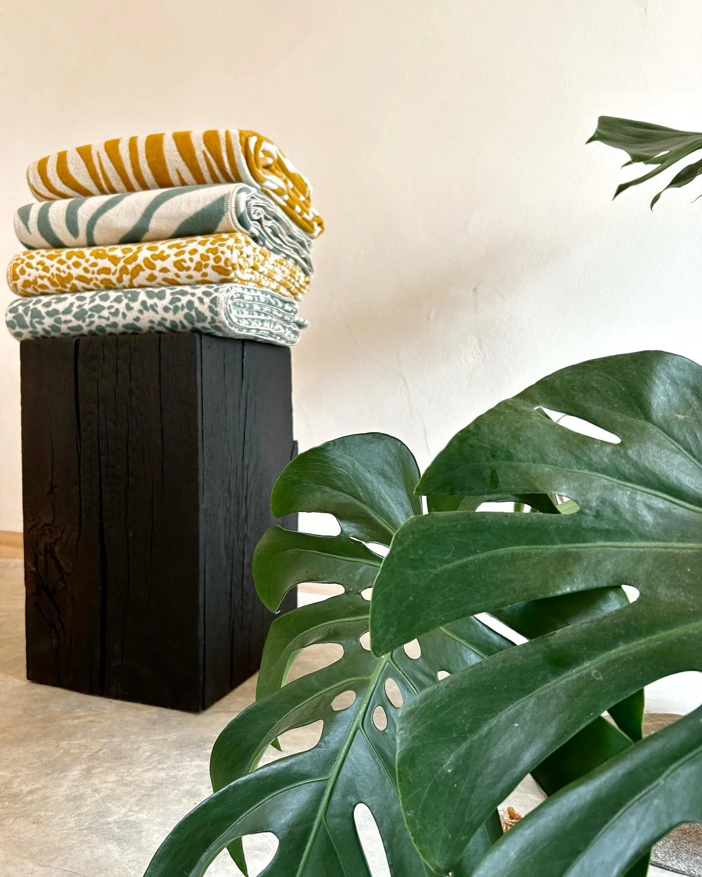 einmal Sonne f&uuml;r alle 🌞 

save the date &bull; 28.07.23 &bull; Eis &amp; Zauberei &bull; weitere Infos folgen 🍦 

#summervibes