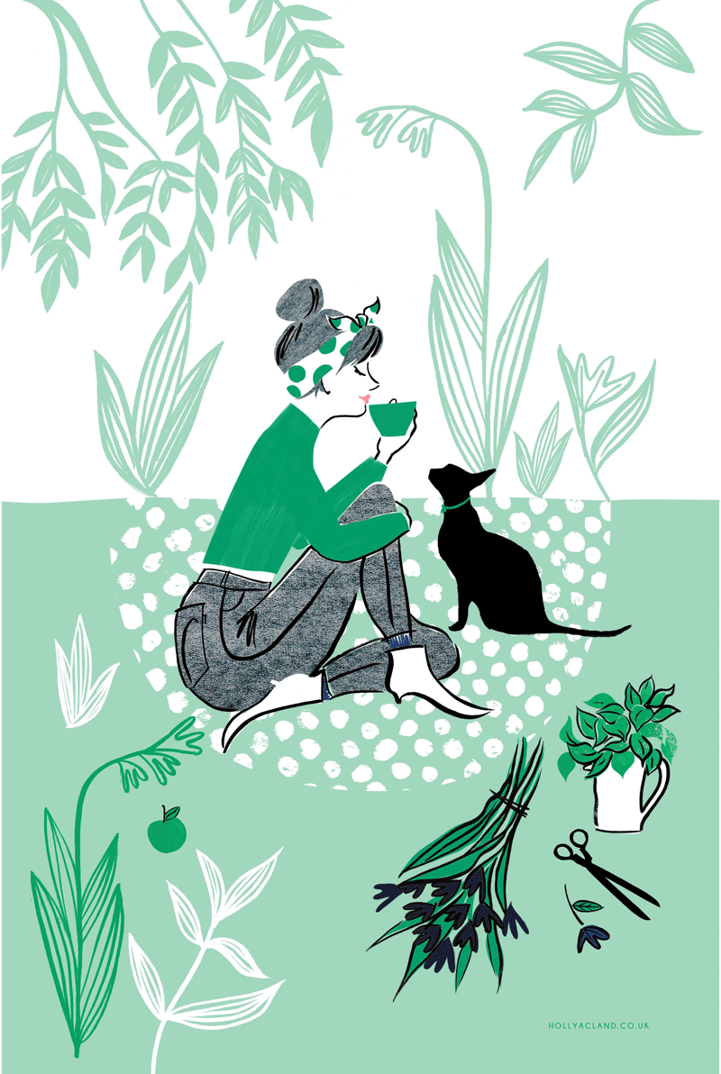 CatLadyArtworkTTWEB.gif