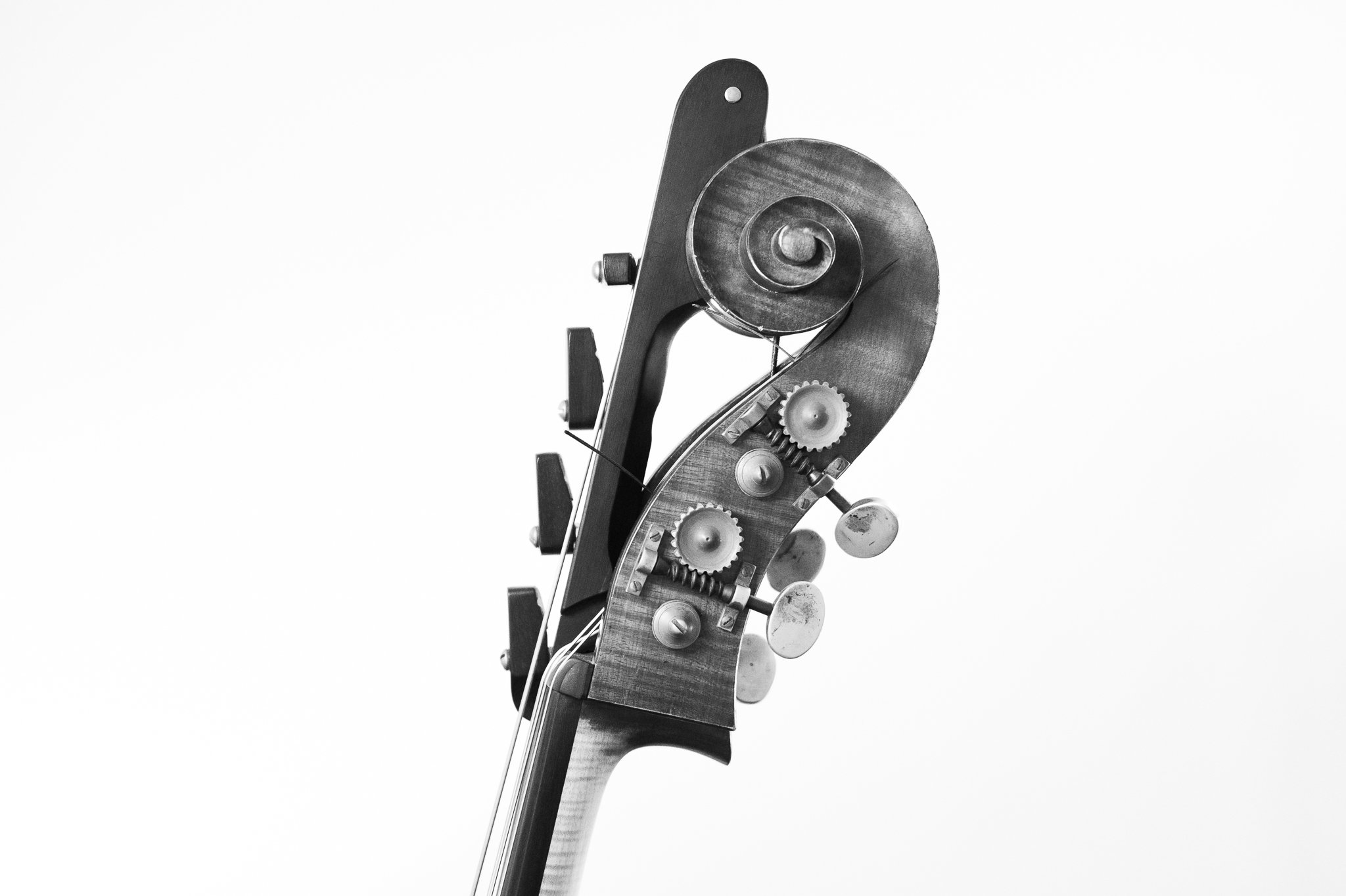 Double Bass Music Reading Book