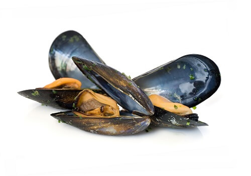 Mussels.jpg