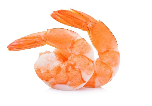 Prawns.jpg