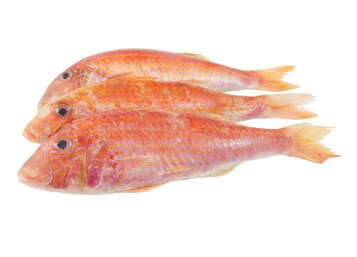 Red Mullet.jpg