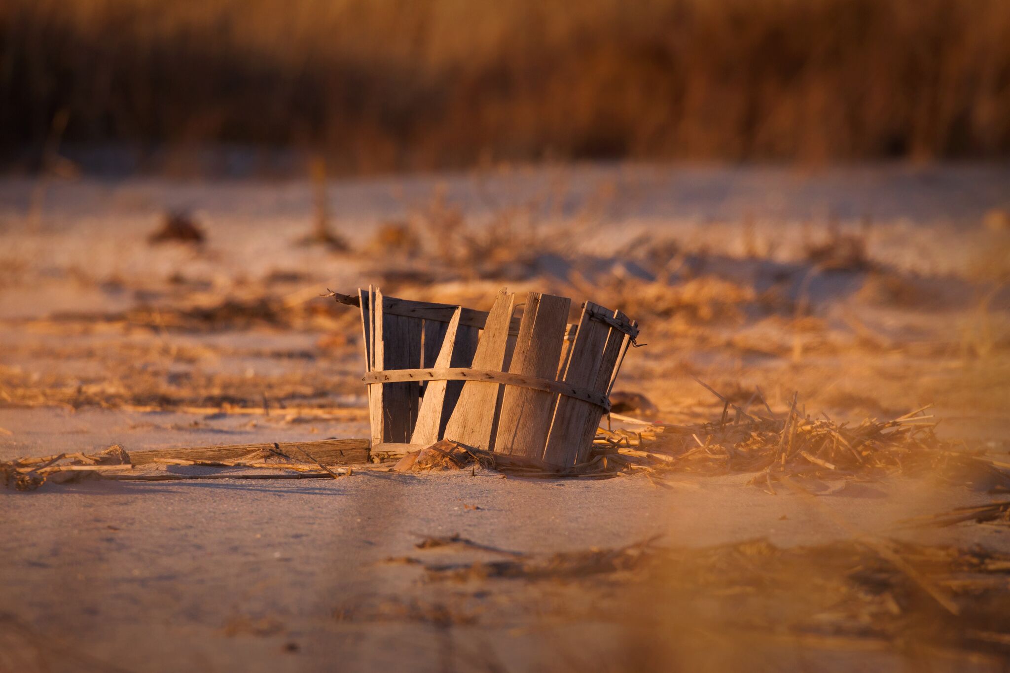 Beach Basket Wash Up