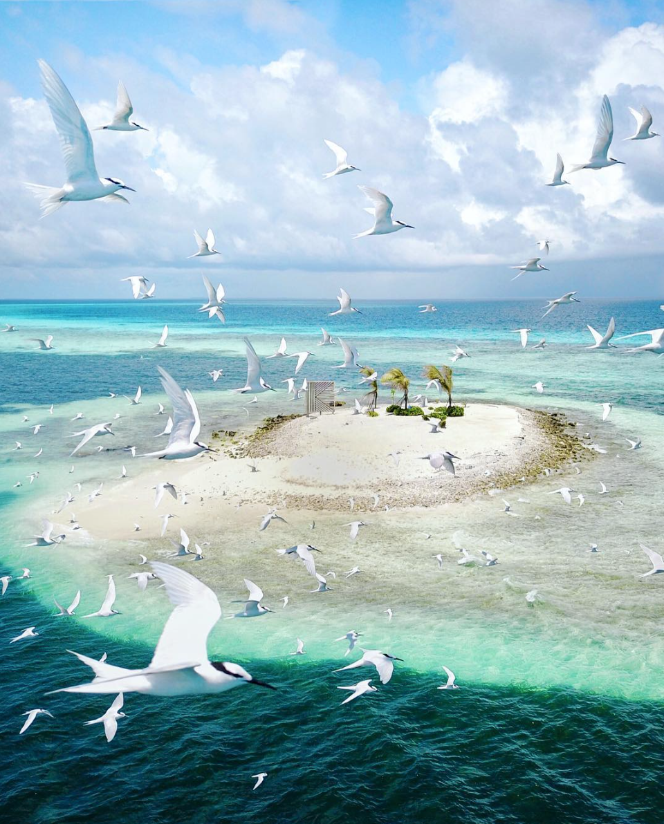 Screen Shot 2018-02-23 at 17.03.06.png