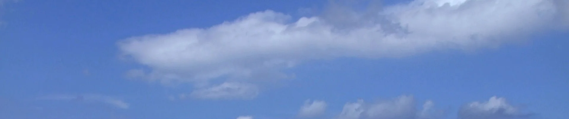 header_background.jpg