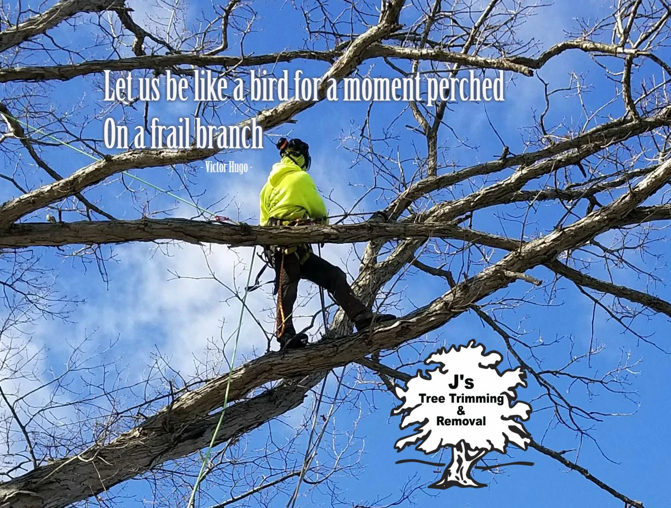 Google_20180319_dan_bird_perched.jpg