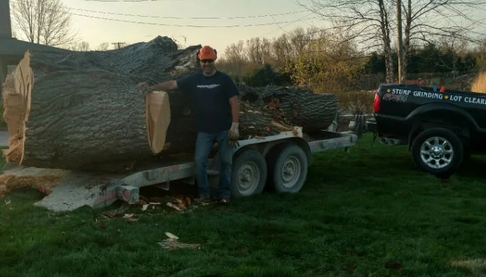 One with the Environment