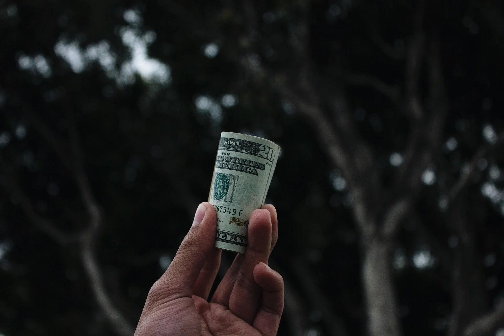 Money Doesn't Grow On Trees