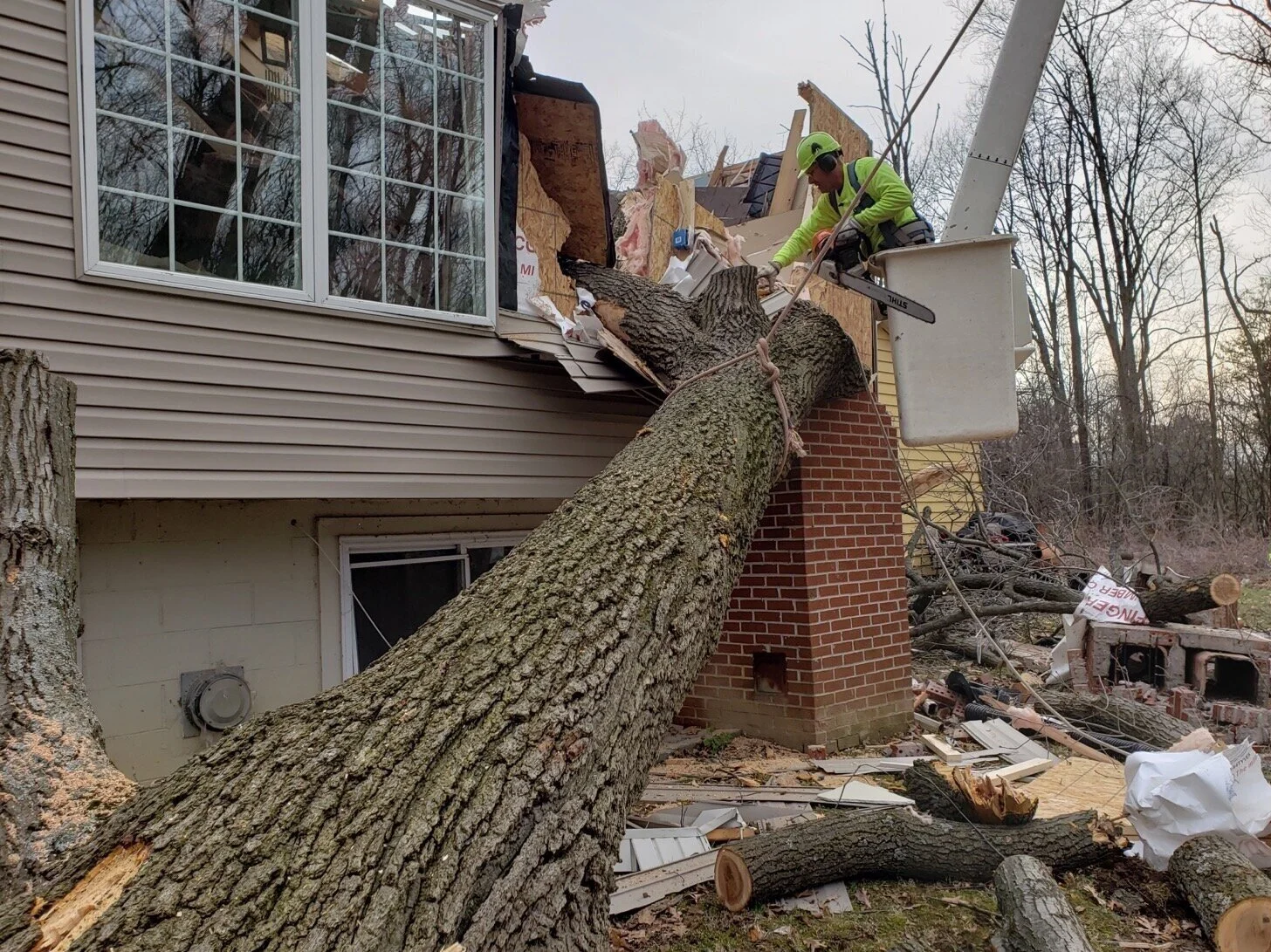 J's Tree Trimming & Removal