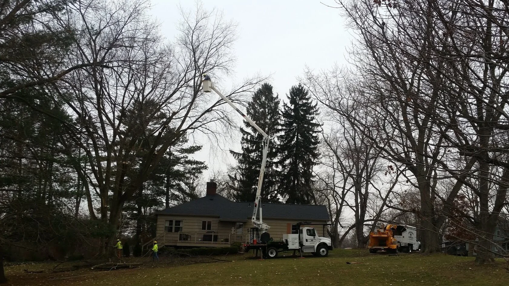 Having the right tree equipment = safety &amp; efficiency