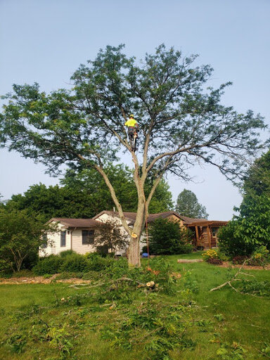 ARE YOUR TREES READY FOR SPRING?