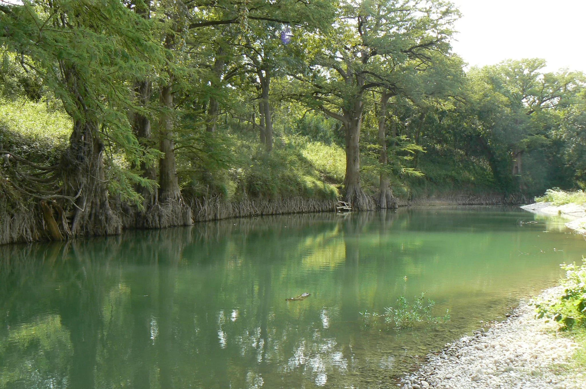 a-sabinal-river-view.jpg