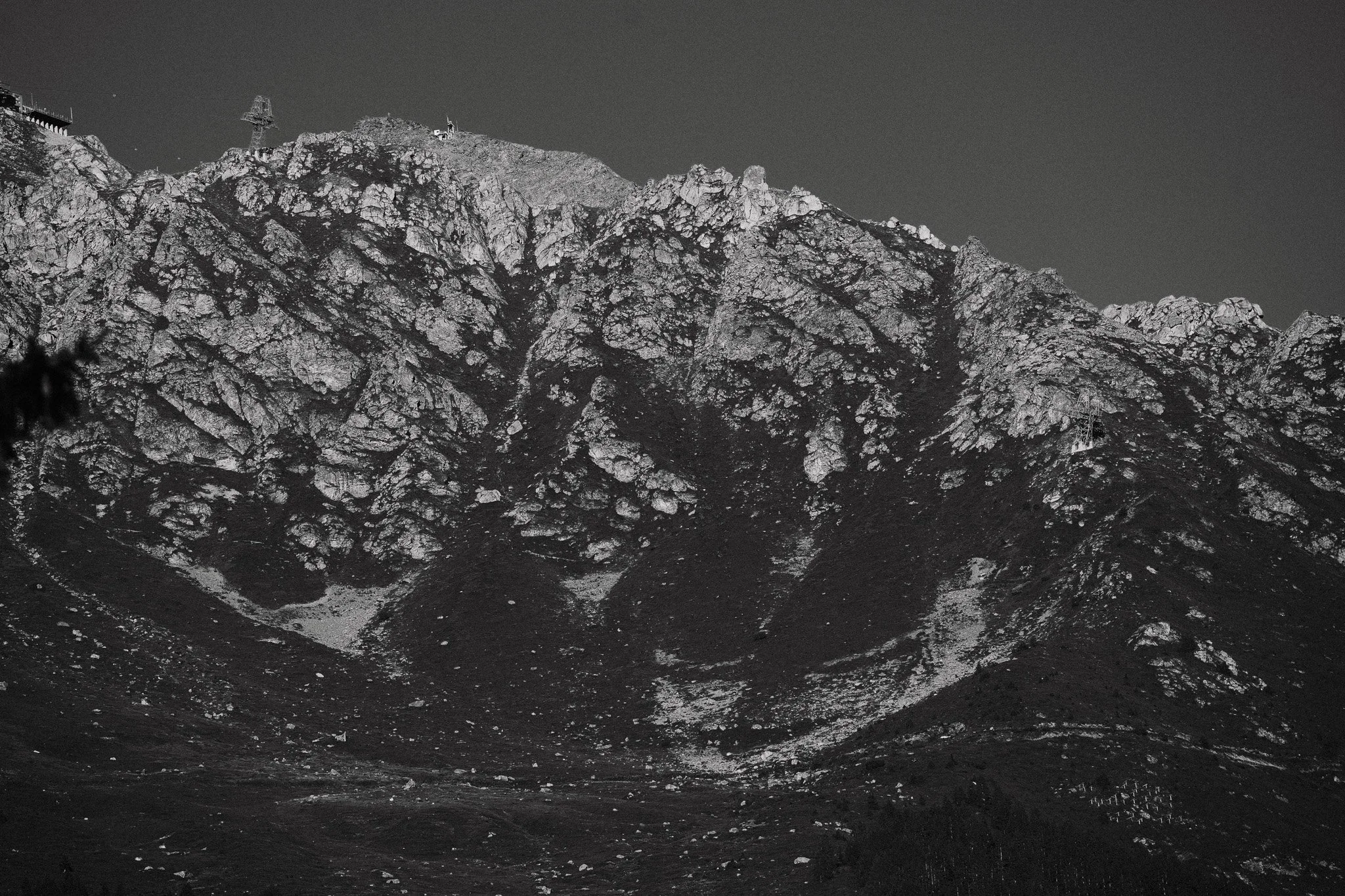 DSC01903.jpg
