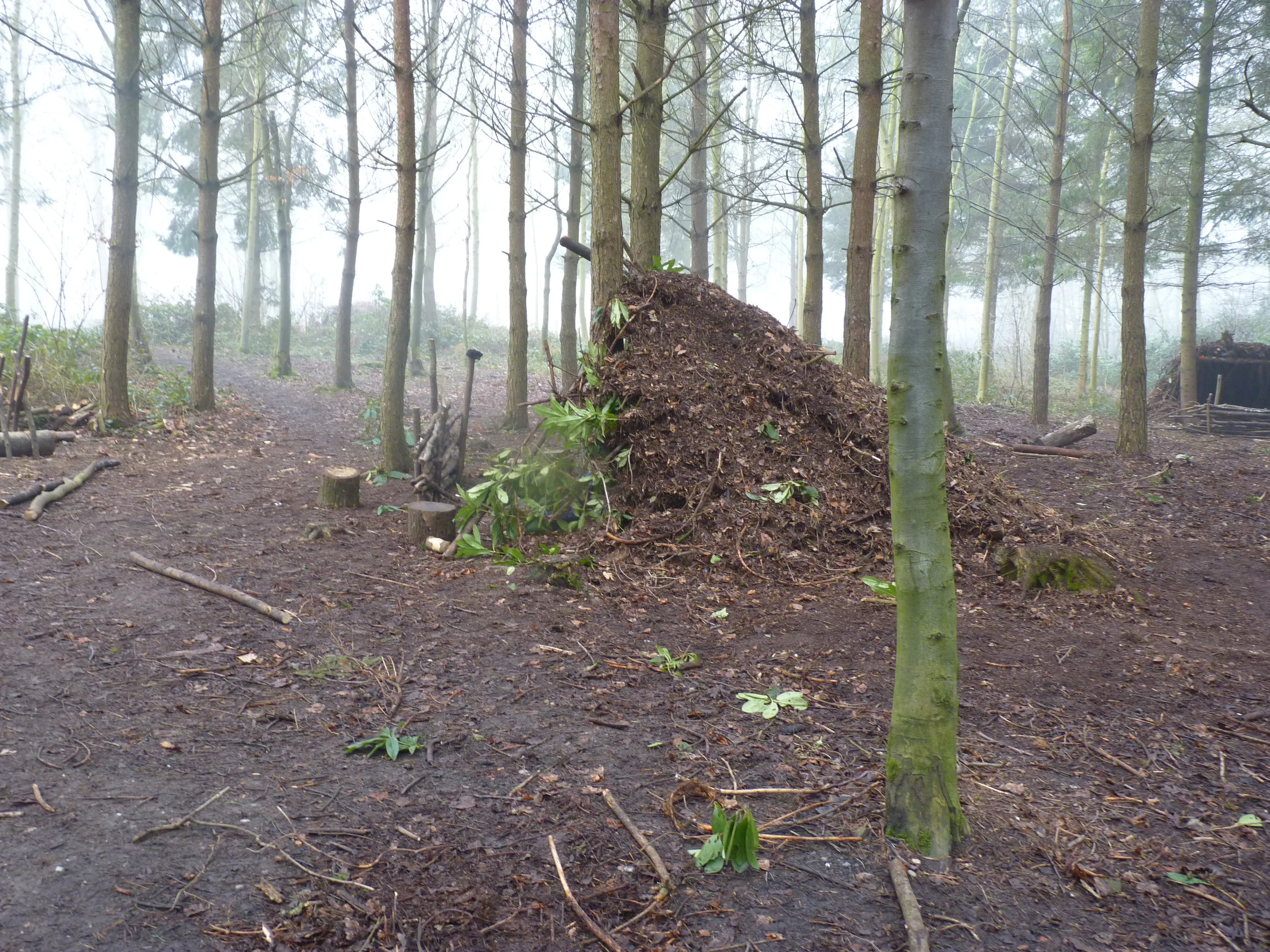 P1020135 (1).JPG