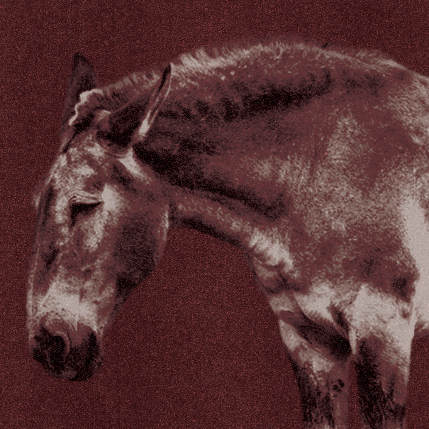 PMRD_BACK_3000x3000.png