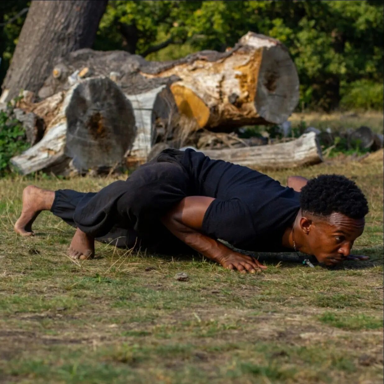 'Harimau Shoots' 🐅 (Tiger)

@abundanising.arts showing how to move on the ground in #Richmondpark last year 📸 

#movementphotography #yogaphotography #martialarts #yoga #yogainspiration #photographyinspiration #movementmeditation #sacredart #sacred