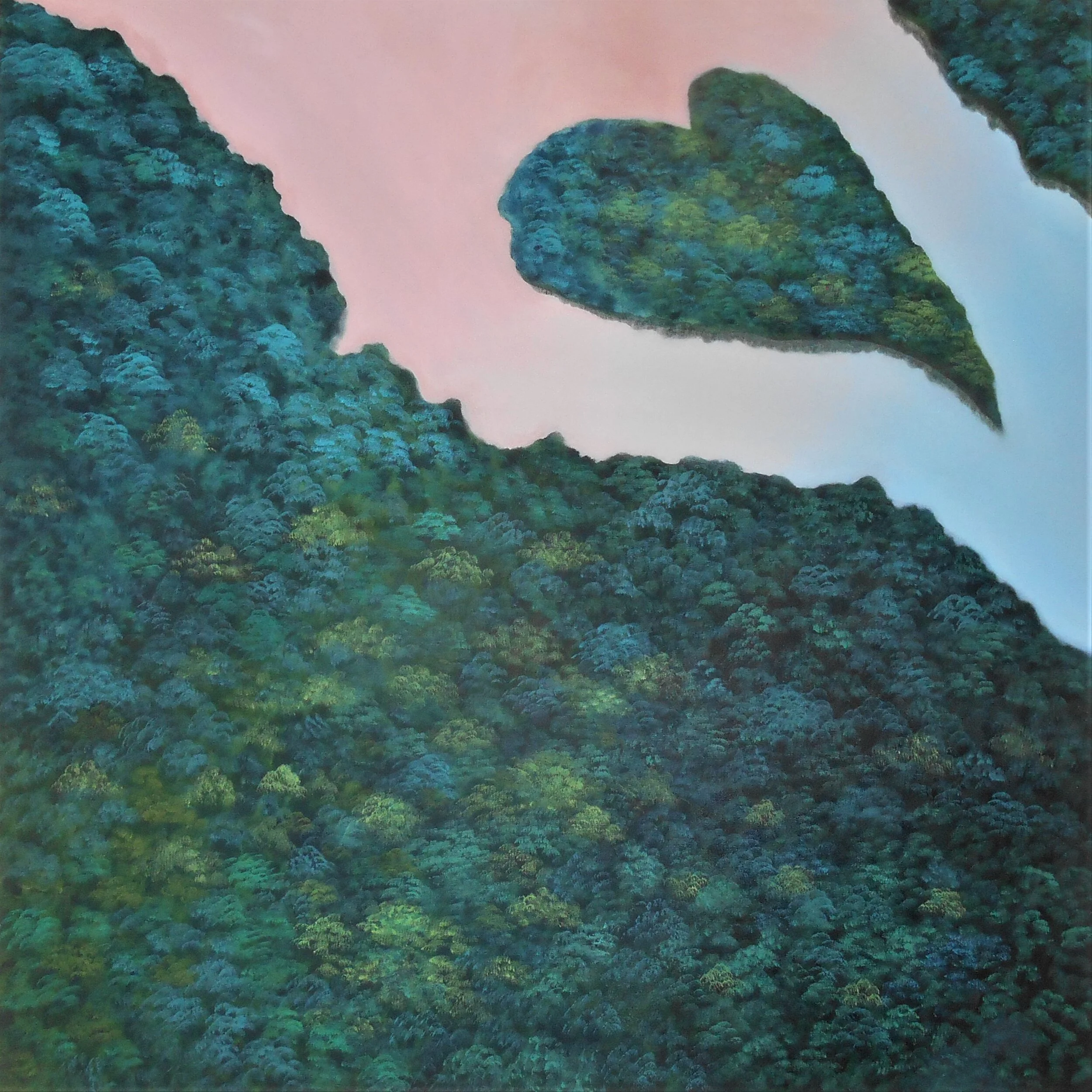 amazonas 3.jpg