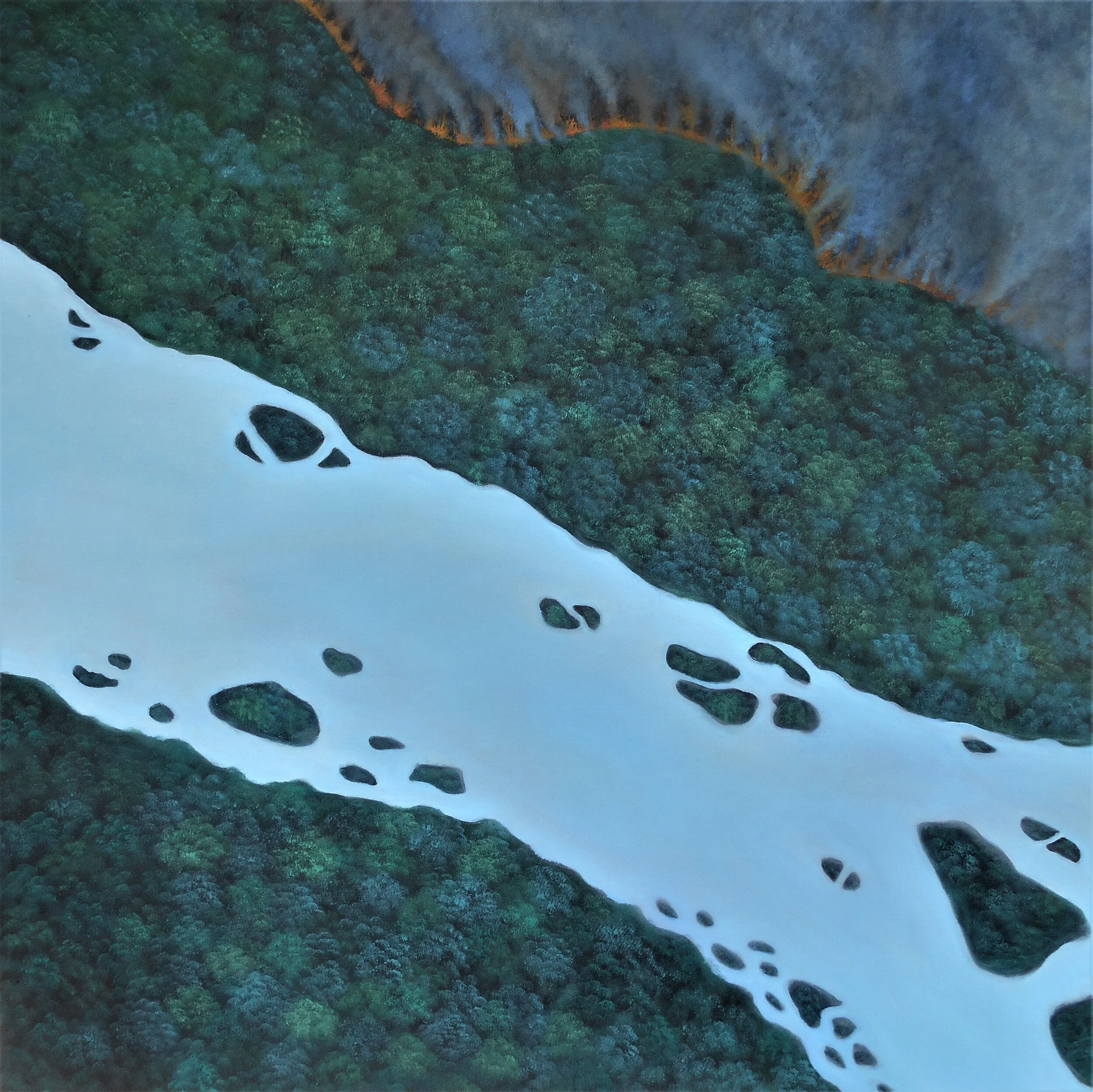 DSCN18002.jpg
