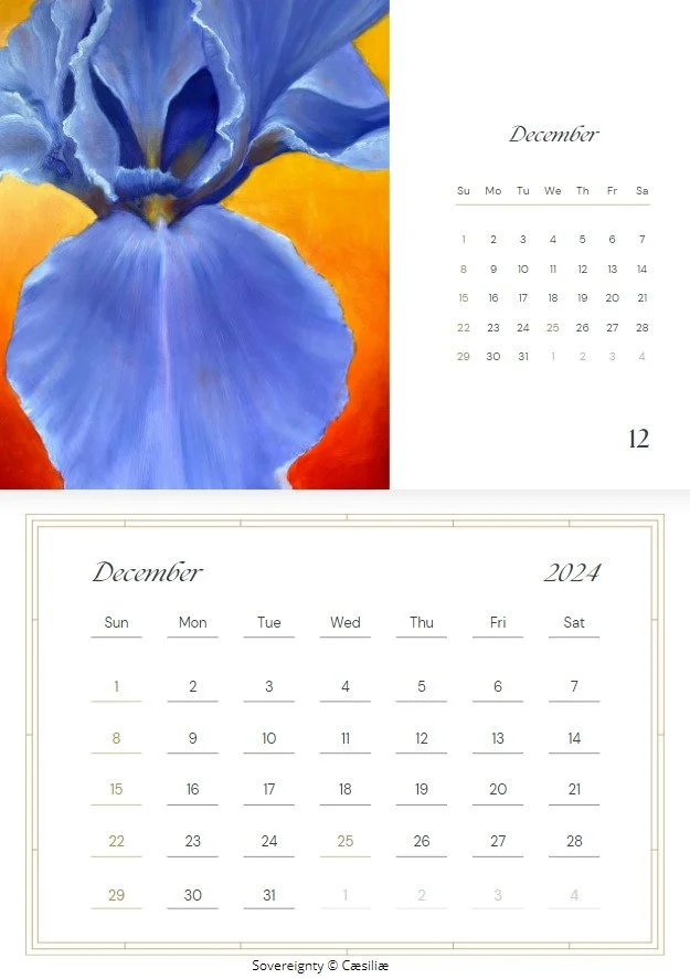 Web capture_30-11-2023_10052_www.canva.com.jpeg