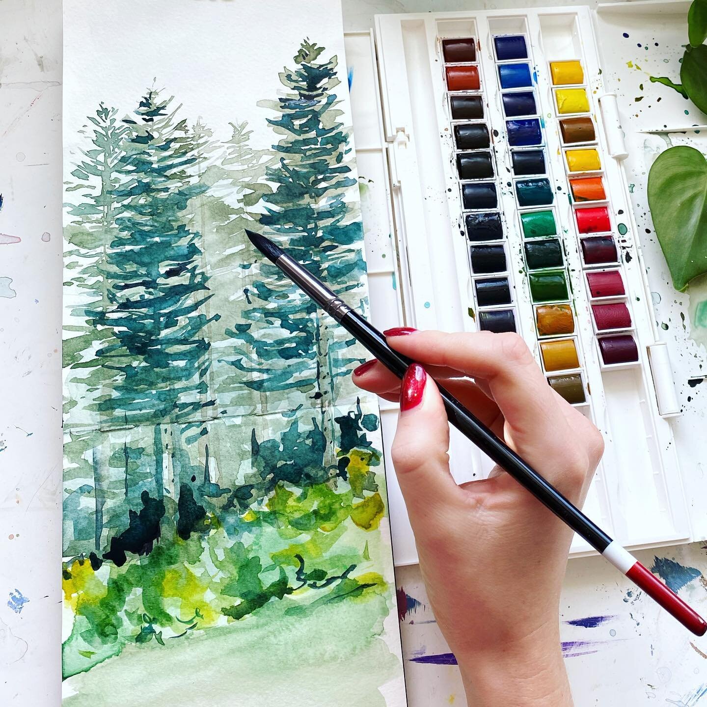 Little tree watercolour sketch 🌲I used a reference photo I took from a hike in Wales. It was a beautiful place!!