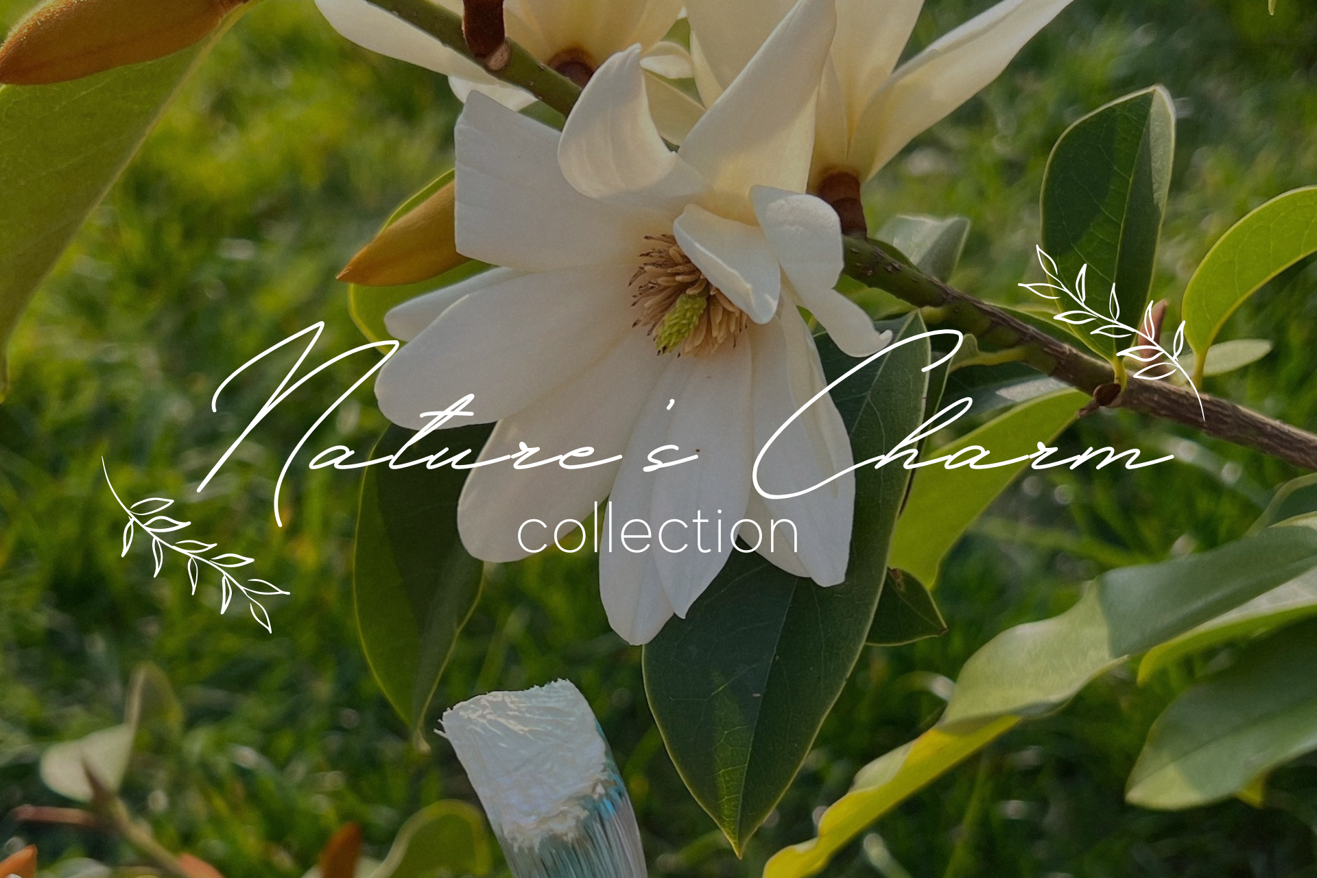 ‘Nature’s Charm’ Artwork Collection