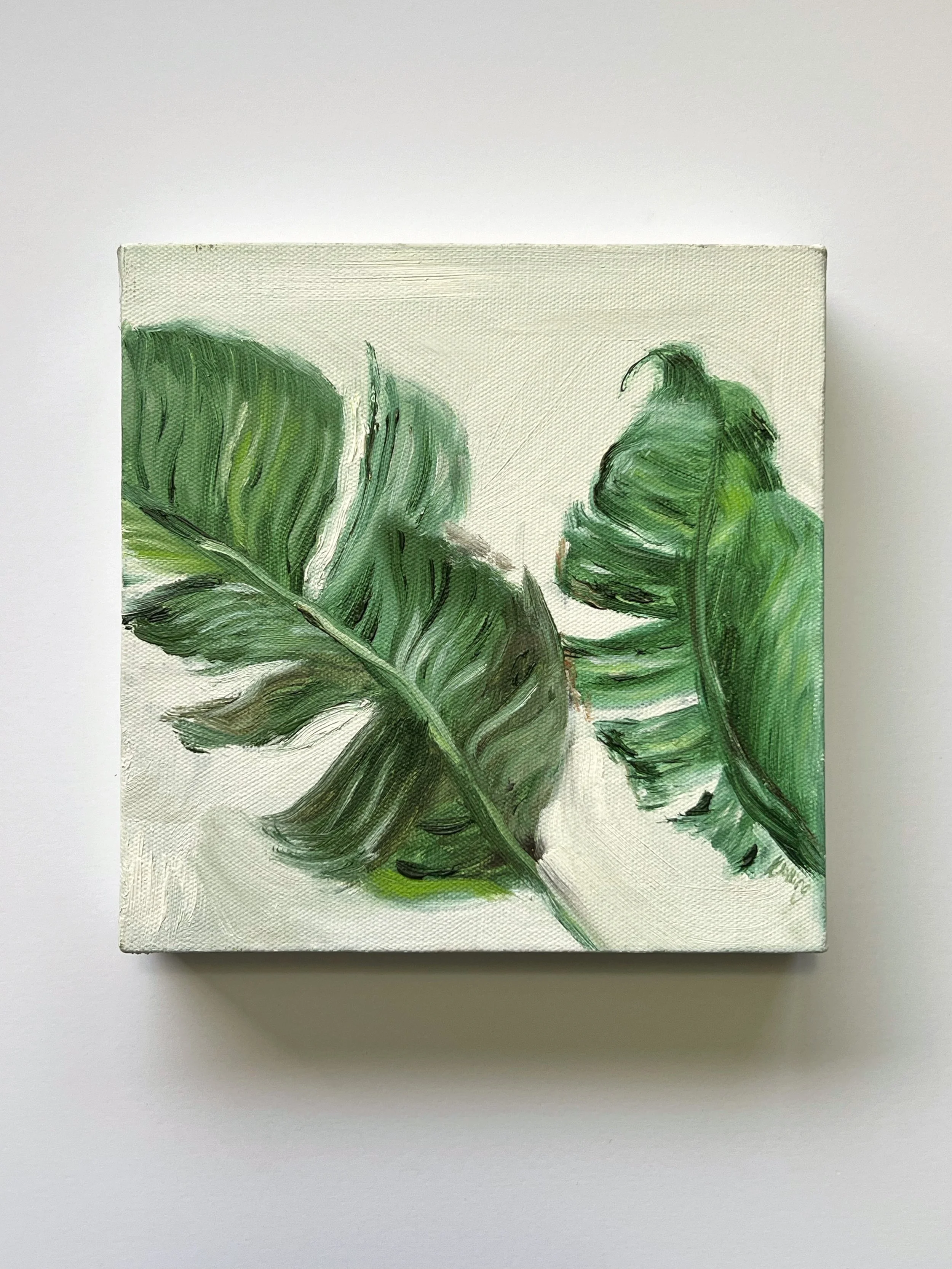 Botanical Oil Painting on deep edge canvas 8x8"