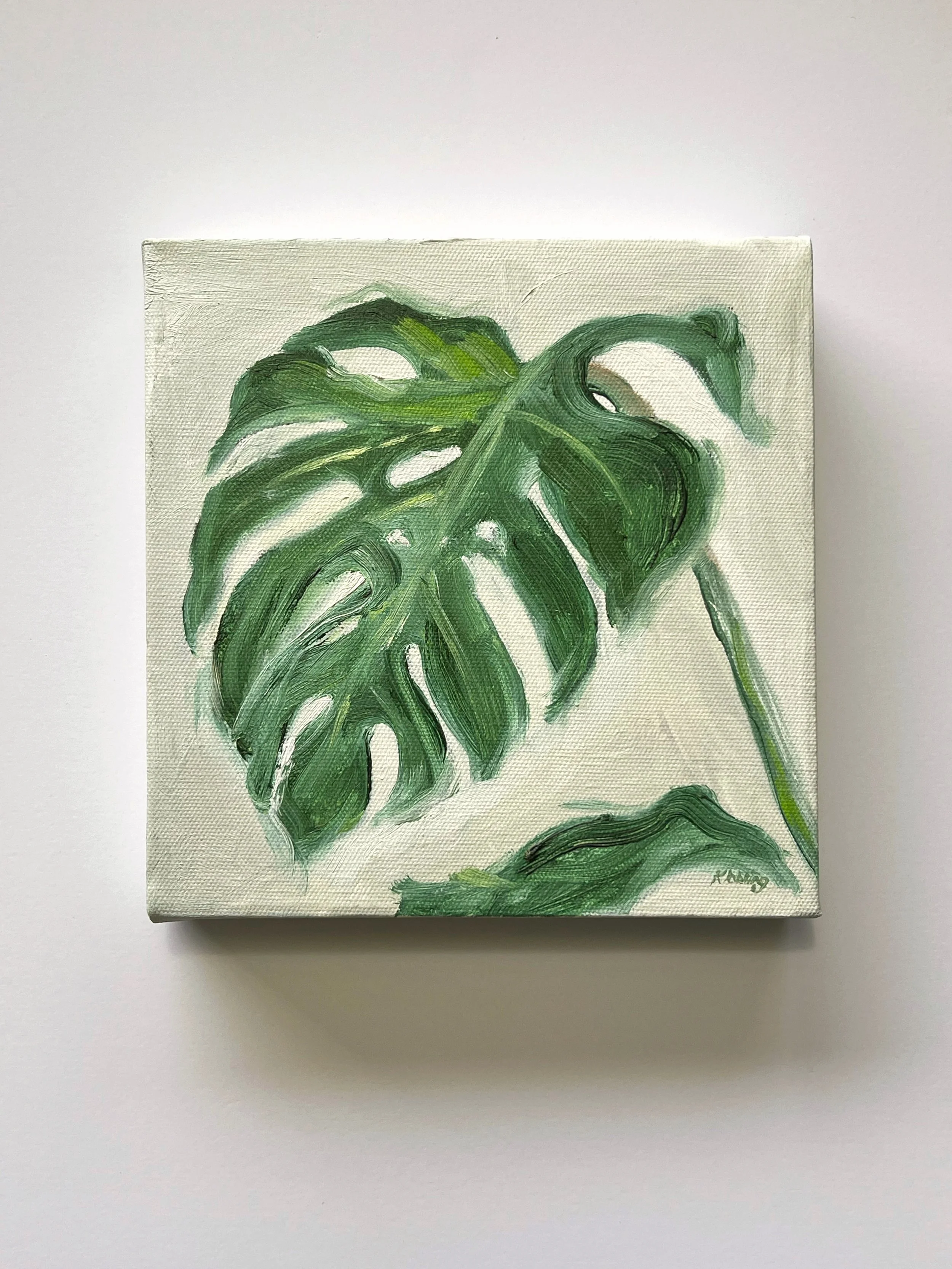 Botanical Oil Painting on deep edge canvas 8x8"