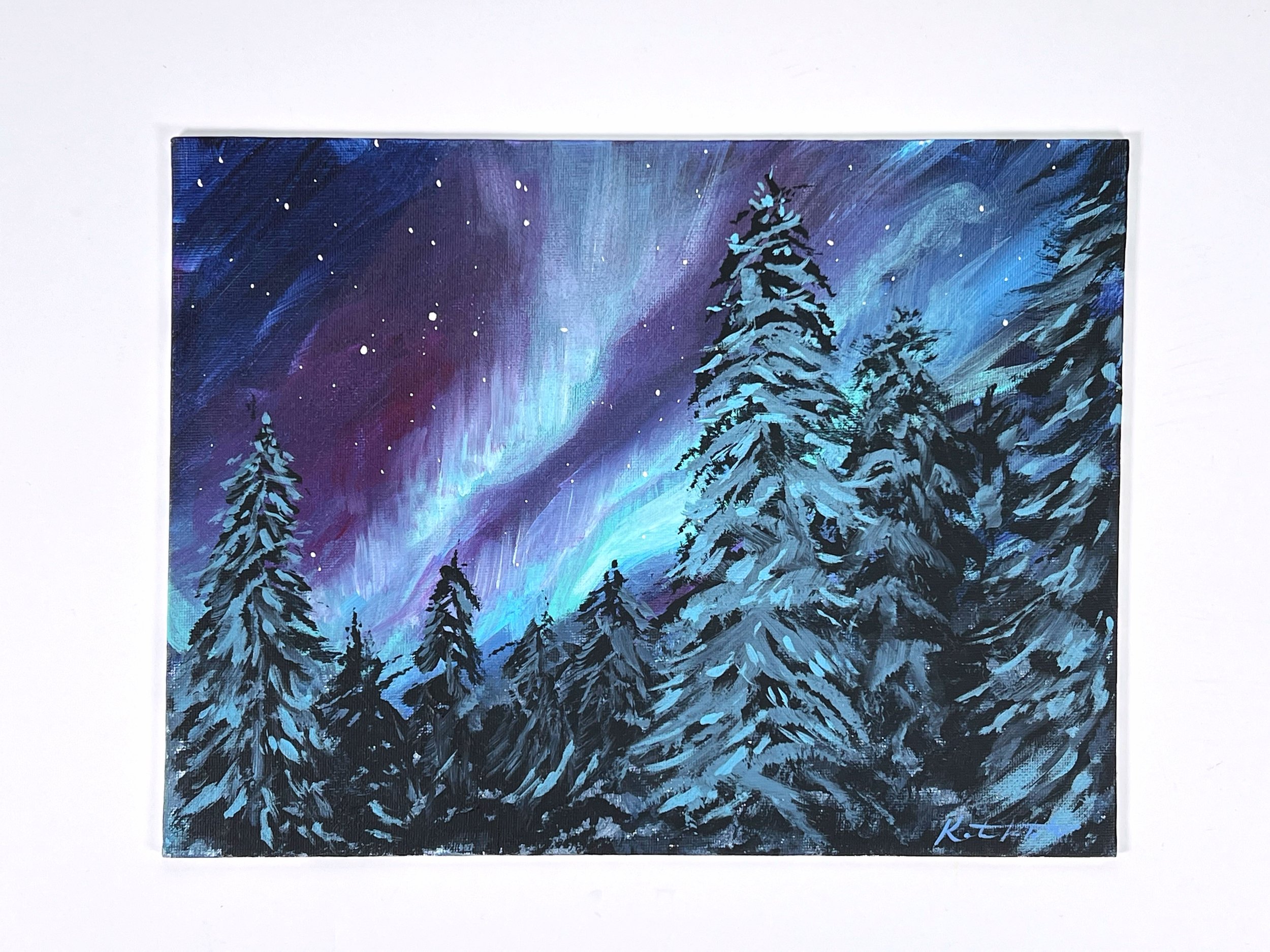 Northern lights (aurora borealis) 9x12" on canvas board - Tutorial Demo