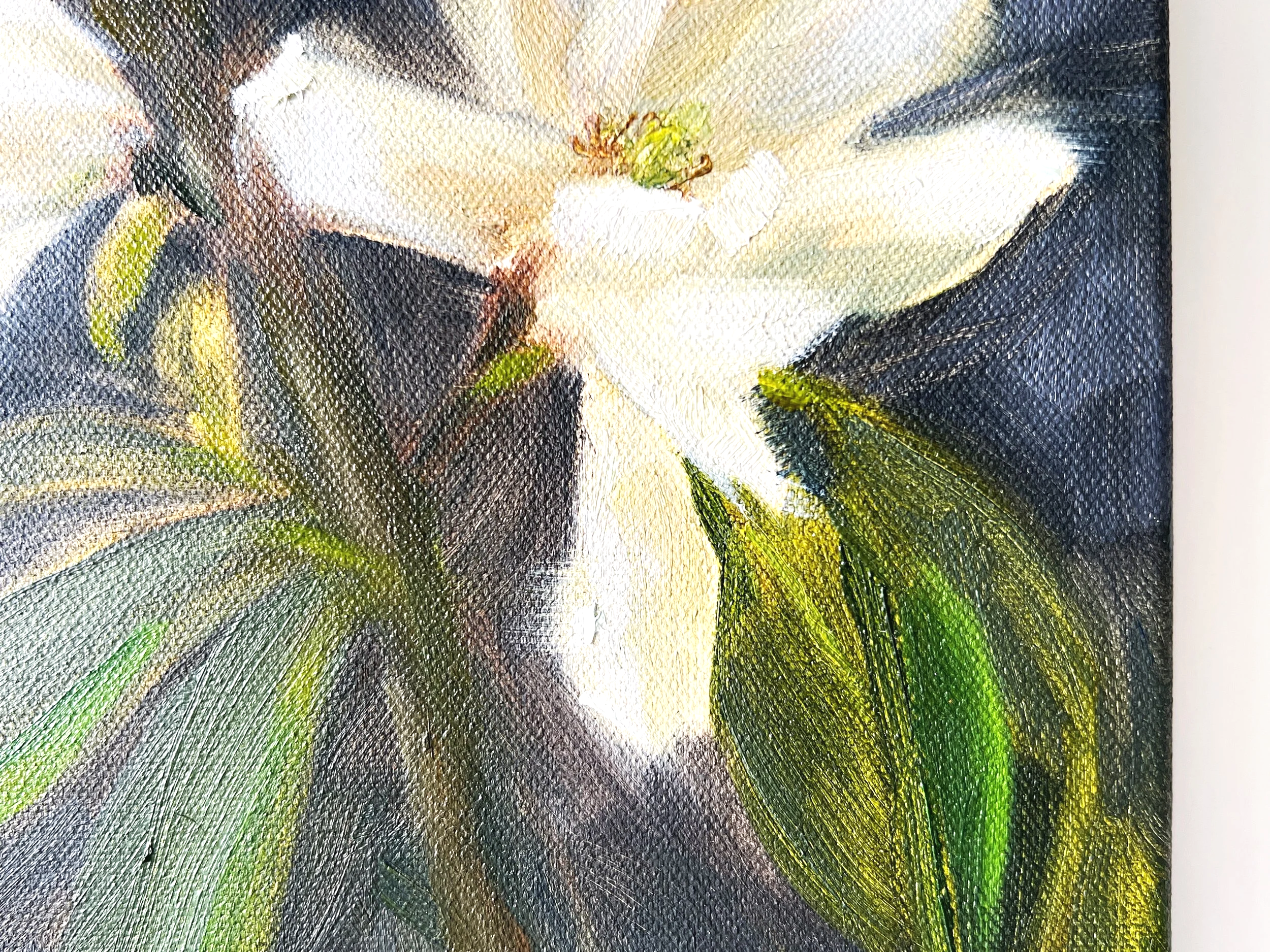 IMG_9633.png