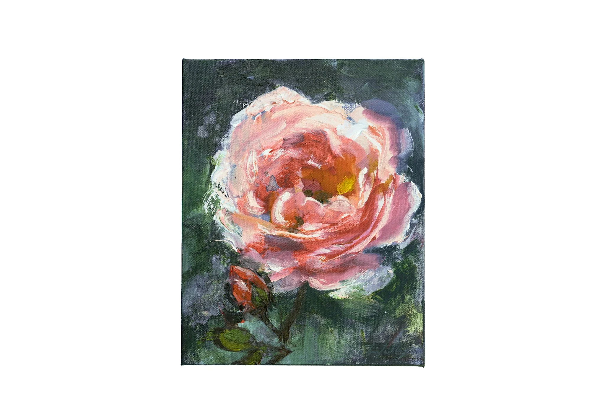 Frozen Rose