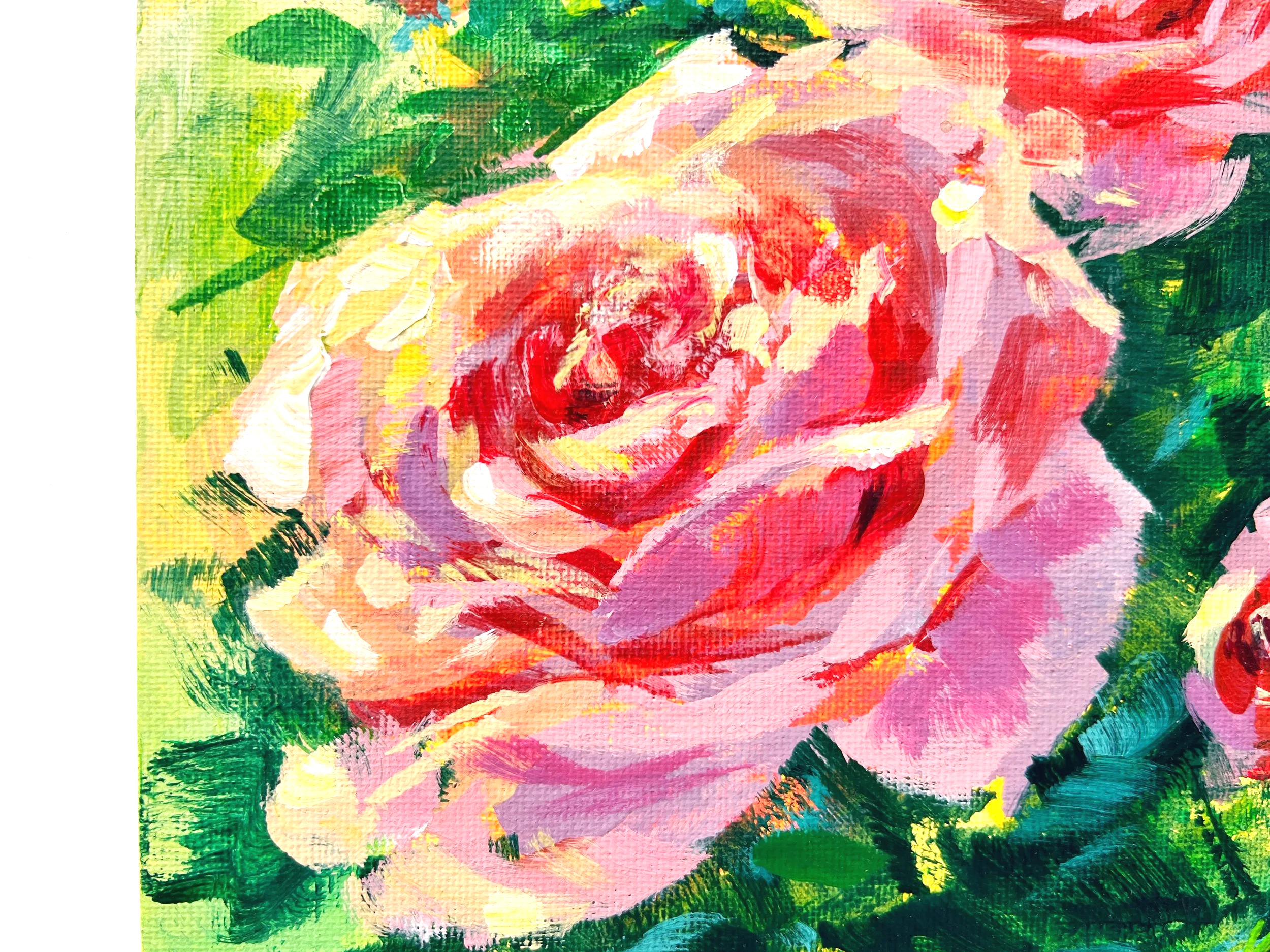 IMG_9782.png